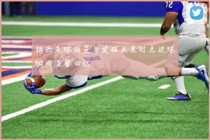 梅西足球明星与爱猫共度时光进球瞬间温馨回忆