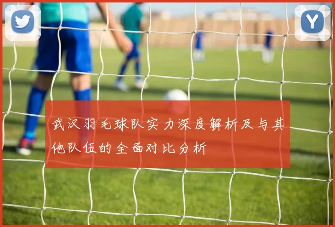 武汉羽毛球队实力深度解析及与其他队伍的全面对比分析