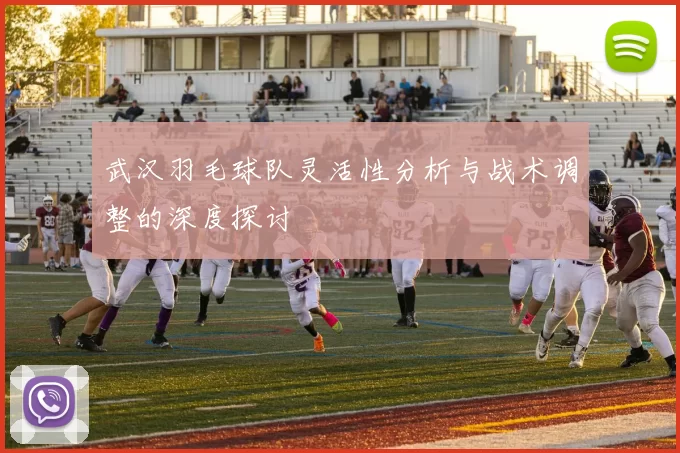 武汉羽毛球队灵活性分析与战术调整的深度探讨