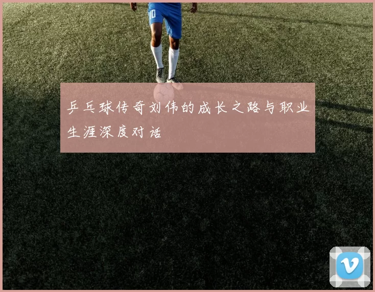乒乓球传奇刘伟的成长之路与职业生涯深度对话