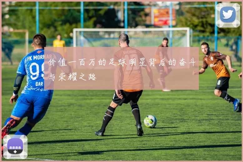 价值一百万的足球明星背后的奋斗与荣耀之路